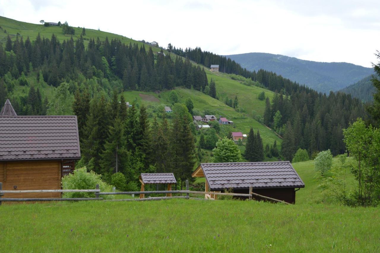 Пагорб Їжака / Hedgehog Hill Yablunytsya Exterior foto