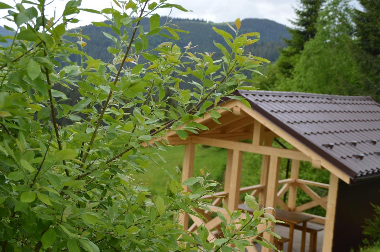 Пагорб Їжака / Hedgehog Hill Yablunytsya Exterior foto